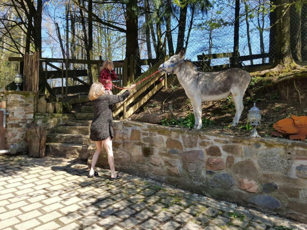 Funny-Farm Villa Sassen Kültér fotó