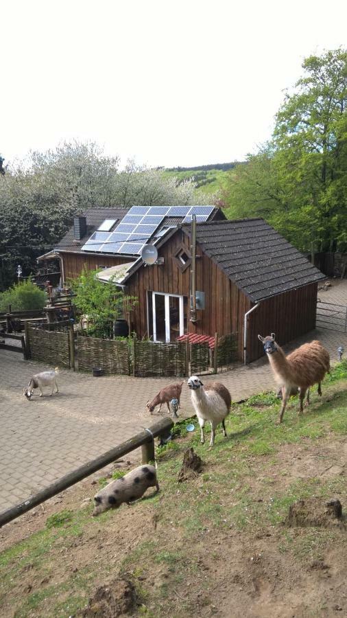 Funny-Farm Villa Sassen Kültér fotó